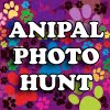 Join the Anipal Photo Hunt